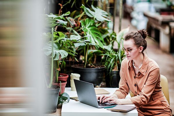 Eine Person am Laptop informiert sich über Hubdrive und sitzt am Bürotisch mit grüner Zimmerpflanze