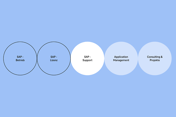 Infografik: Die Telekom als Full-Service-Provider von SAP®-Lösungen