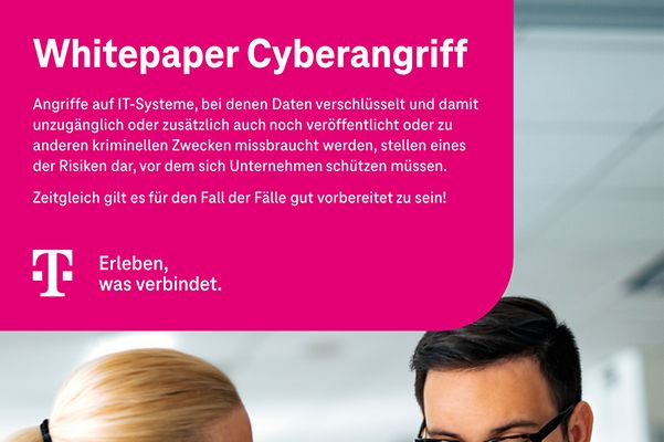 Cover des Whitepapers, mit 2 Personen an einem Tisch mit Laptop, die ein Dokument analysieren
